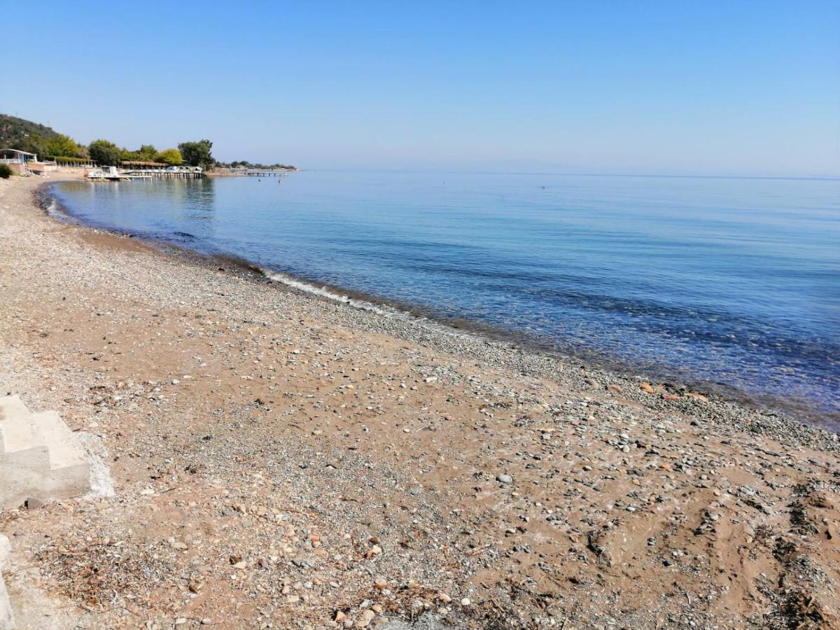 Assos Yali Butik Otel Beach Ahmetce  Luaran gambar